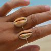 brown-cowry